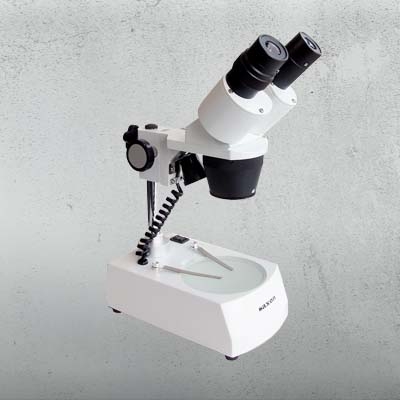 Stereo Microscopes