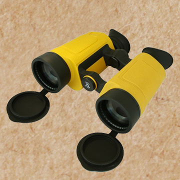 Focus-Free Binoculars