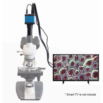 saxon 10 Megapixel Digital Microscope Camera