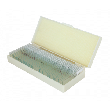 saxon Animals Biological Microscope Prepared Slides (50pcs) - SKU#310005