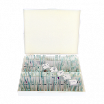 saxon Biological Microscope Slides - SKU#310010