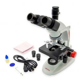 標本 Mexico Homoptera 30mm 40mm only one saxon SmartOne Trinocular Biological Microscope 40x-1600x