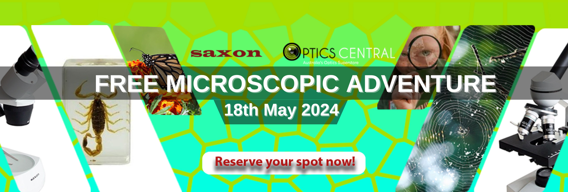 Microscopic Adventure 2024 @ Optics Central