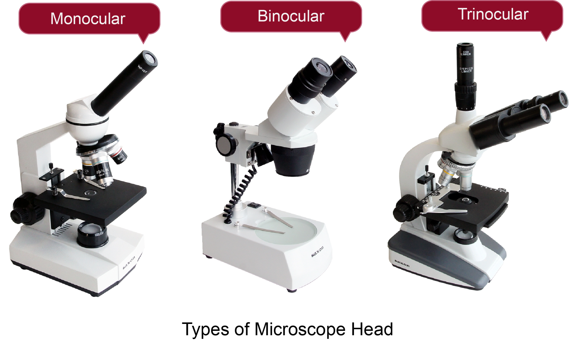 5 Types Of Microscope