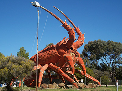 lobster se 23sep14
