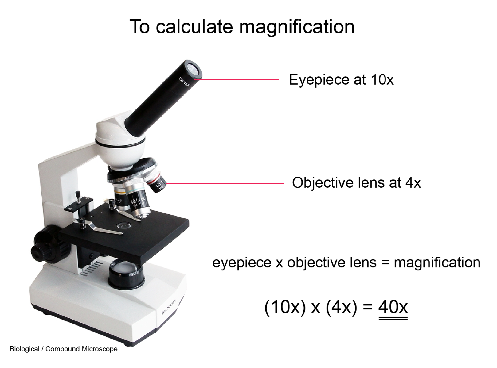 Dyrt beskyldninger investering Microscope Buying Guide- How to choose a microscope